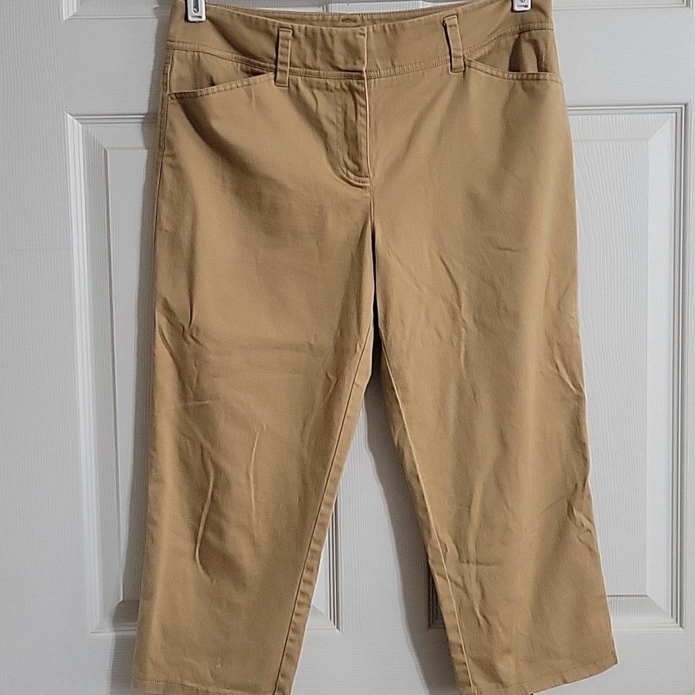 J.Crew City Fit Tan Capri Pants Women’s Size 10 Stretch Work Travel Casual NWOT - Picture 2 of 10